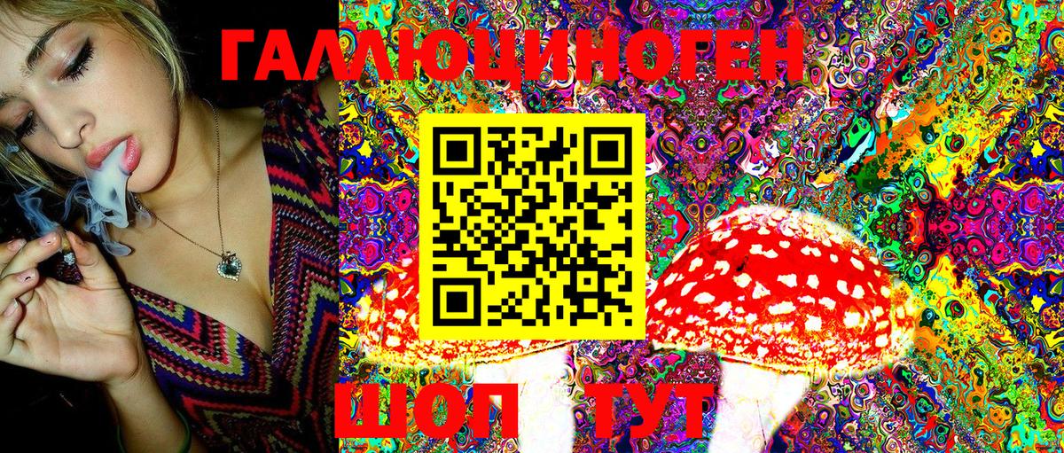 Галлюциногенные грибы MAGIC MUSHROOMS Отрадный