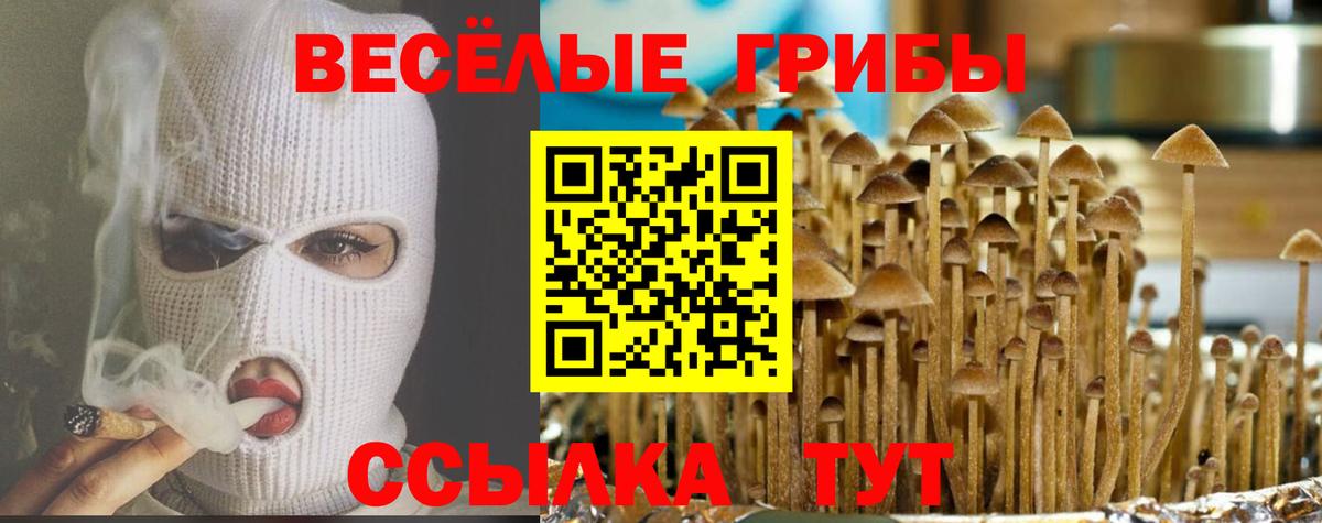 Отрадный  магазин    Вход с VPN  Галлюциногенные грибы мицелий 